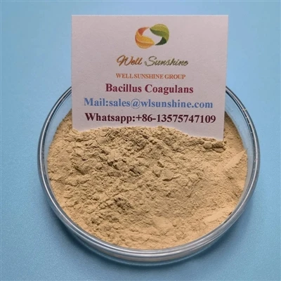 Oppdagelse og applikasjonshistorie for Bacillus Coagulans
